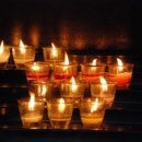 신천생태하천A 이미지