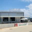 동양목장 | 인천 영종도 카페 애견동반 대형카페 동양염전베이커리카페 내돈내산 솔직후기