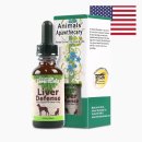 세인트벨 인터내셔날 이미지