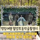 삼태기식당 | 강원도 평창여행 웰컴투동막골 촬영지세트장 오삼불고기맛집추천 삼태기식당 육백마지기 별구경