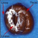 군포굿닥터동물병원 이미지