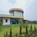 그레이스830 이미지