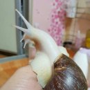 이숙재농장 네이버블로그