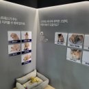 요세라코리아 이미지