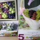 포도민박