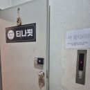 티나핏