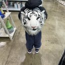 장터마트식자재 이미지