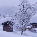 별그림2민박 이미지