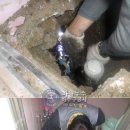 송광약국 이미지