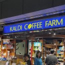 에이커피팜 | 일본 후쿠오카 쇼핑, 칼디커피팜(KALDI COFFEE FARM) 추천템