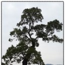 면사무소입구 ~ 천주교 성당 | [서산여행] 해미읍성을 가다