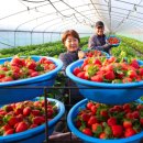 맛.보이소 이미지