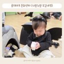 사계절마트 | 문센추천 롯데마트 문화센터 안산점 나랑노랑오감네컷 포시즌플레이 후기