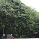 병곡숲화장실 이미지