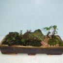 바다와 시인 민박 이미지