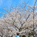 낙동제방길-1 이미지