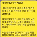 메타브레인