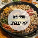 꽃돼지 | 양산 맛집 :: 구워주는 고기집🍗양대창전골세트와 껍데기 후기, 꽃돼지식당