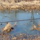 천일어린이집 놀이터 이미지