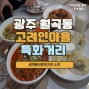 월곡동세계음식문화거리 이미지