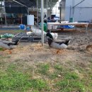 한울포도원 이미지