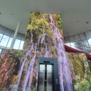 화개정원 관리사무소 | 강화도 화개정원: 화담숲 못지않은 아름다움, 숨겨진 강화도 랜드마크!