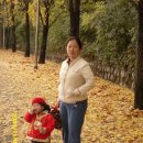 가을동화 이미지