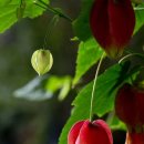 하나사진관 이미지