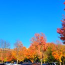 영대모터스 이미지