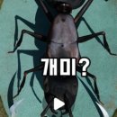 동강생태공원생태정보관 네이버블로그