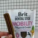 찬스덴탈 이미지