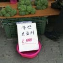 오오키 이미지