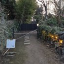 아침고요에스제이펜션2 | 제주도 가족 독채펜션 애월 제주 감성 독채 숙소 고요고목 방문기