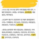 정의당 피감기관 외유 의원-이정미2,심상정1,노회찬1,추혜선1 이미지