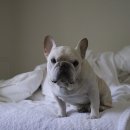 나음동물병원 이미지