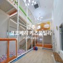 코코베리 키즈풀빌라 이미지