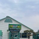 안계미나리농장 이미지