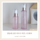 엘솔 | 엄마 피부를 위한 순한 선택,기미 미백 주름개선 비건스킨케어 엘솔레 솔직후기