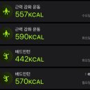 쎄븐카세차장 | 자유로운 영혼 갓생러 제링의 4월 넷째 주 돌아보기!!