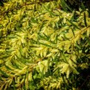 향기5로 이미지