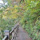 외솔목장 이미지