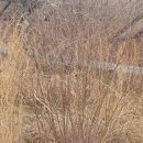 일지 태양광발전소 이미지