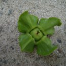 목수와 시인 이미지