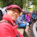 대구 약령시장 이미지