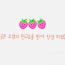 정자참가자미
