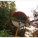 단풍이 시작된 가을풍경 과천 서울대공원[― 大公園] 이미지