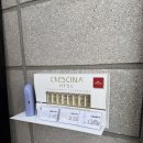 나비미용실 | 🐾 빌드펌 받고 온 반함헤어 1인 미용실 솔직 후기 (고양이 나비와 힐링 타임)