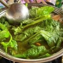 연근염소 이미지