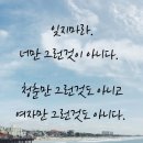 오늘
