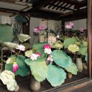 헤리티지 이미지